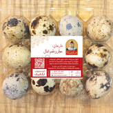 تخم بلدرچین مارجان بسته 12 عددی